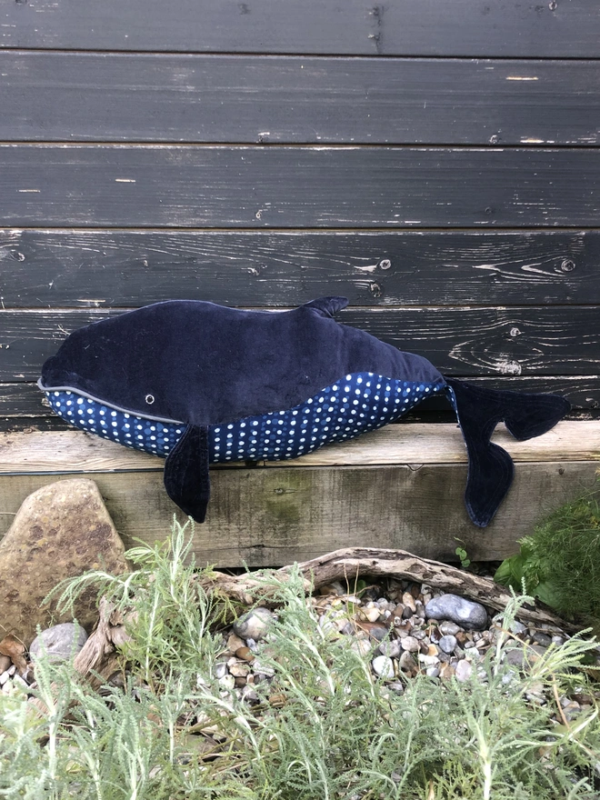 Dark navy blue velvet handmade soft toy whale. With spotted navy 100% cotton underbelly