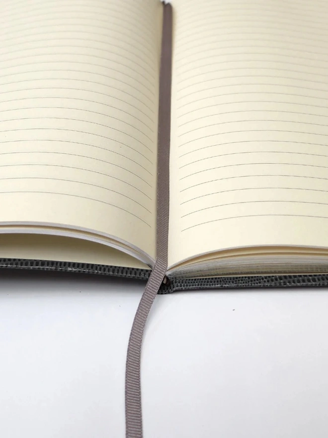 'V' Alphabet Notebook