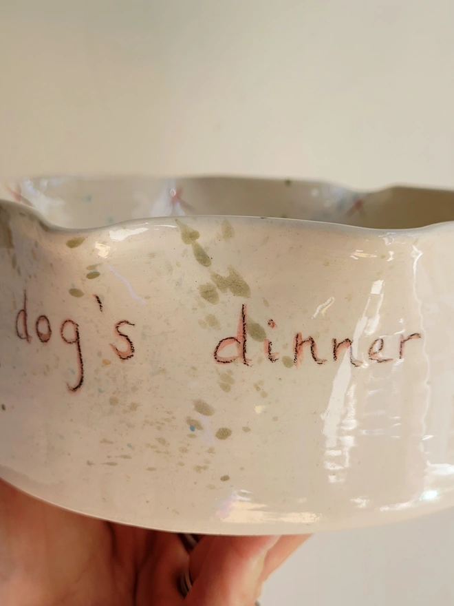 ivory ceramic dog bowl with 'the dog's dinner' written on the side with brown green and blue splatters and pawprints held in a hand