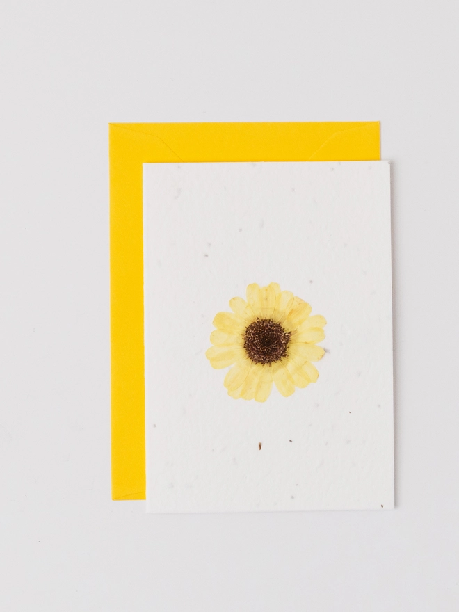 Real Pressed Flower Notecard, Yellow Daisy