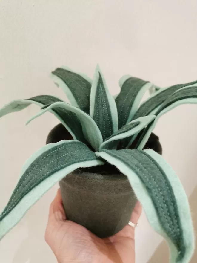 Felt small potted spider plant