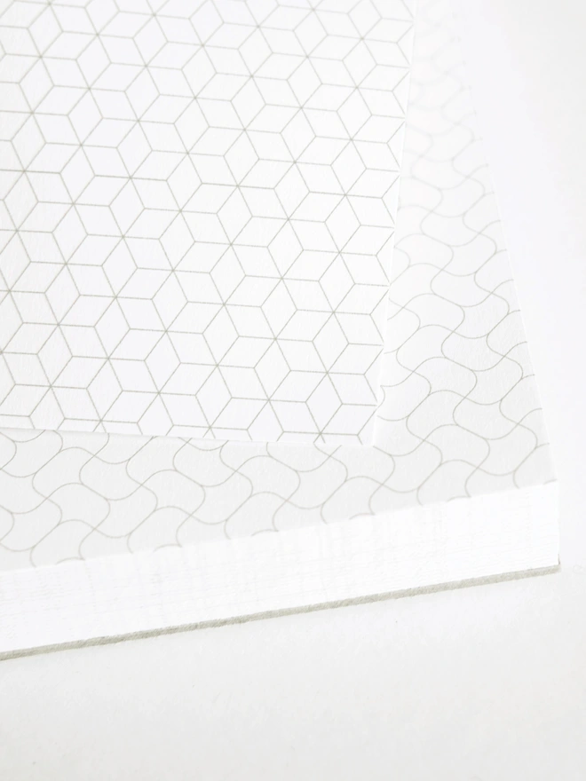 Odd Goose Odd Grids Funky Grid Notebook Grids Close up