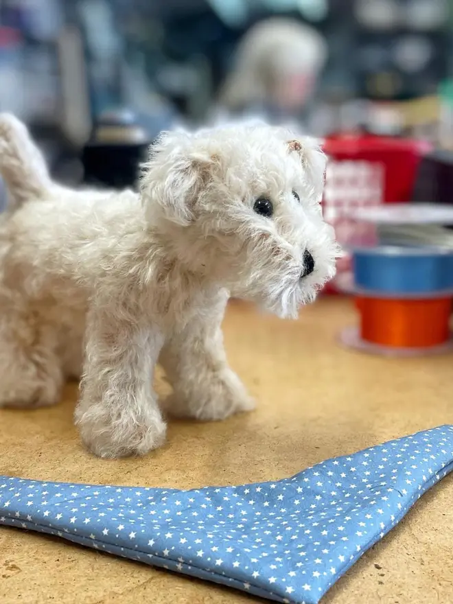 Handmade cream-colored teddy dog wearing a blue bandana standing on a wooden table. 