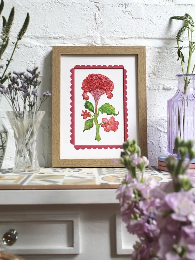 Celosia Cristata Print