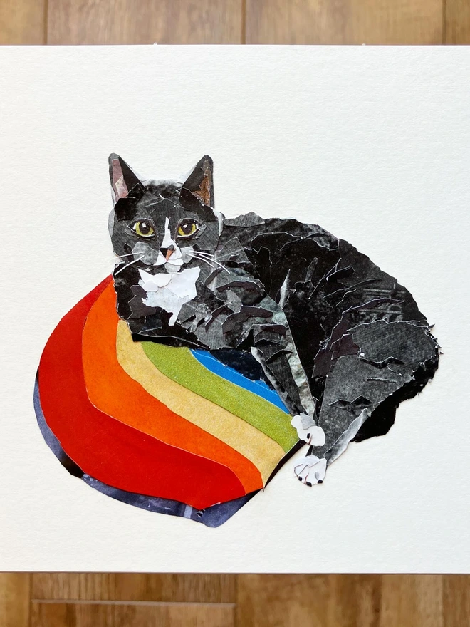cat collage