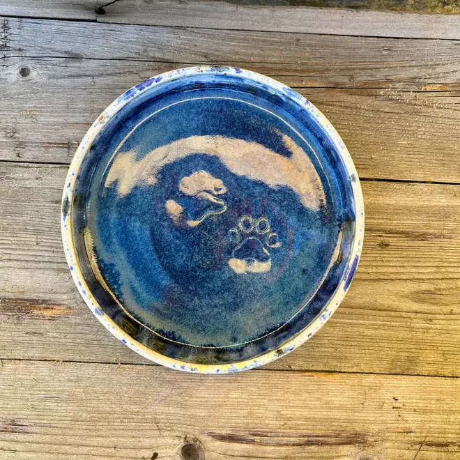 Shoreline Cat Bowl, a colourful cat bowl placed on a wooden surface. 