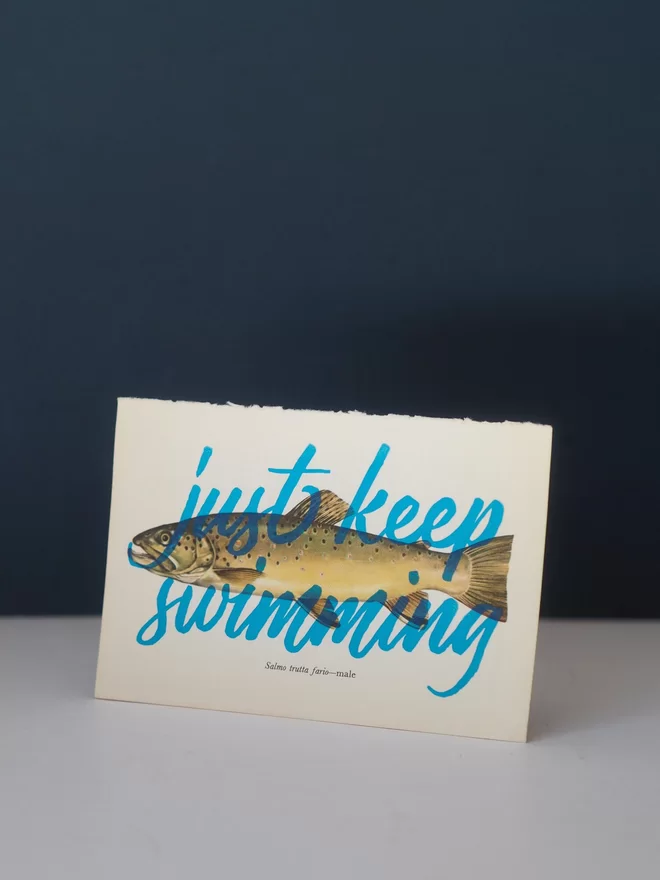 Photo of a lucky dip screen prints from Basil & Ford. Just keep swimming hand screen printed over original vintage book pages depicting fresh water fish