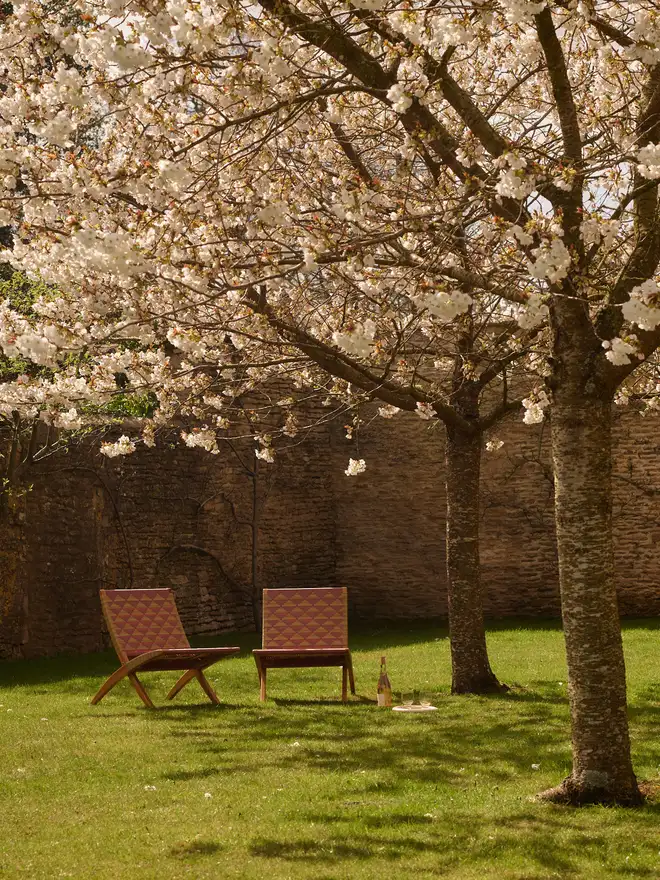 Burnt ochre lounge chair picnic