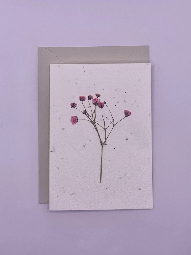 Real Pressed Flower Plantable Card, Pink Gypsophila