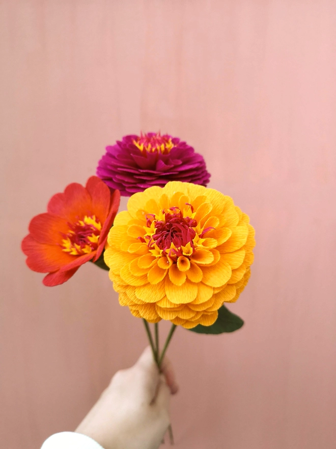 Three zinnias held by hand, in yellow, pink and orange with focus on the yellow