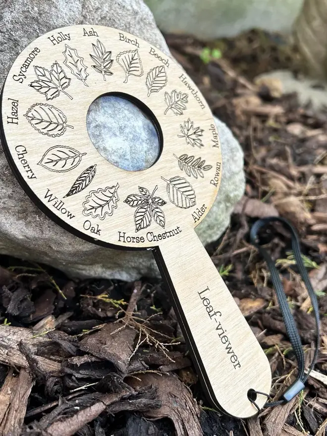  Birch wood leaf identification magnifier engraved with detailed leaf  illustrations, displayed on forest floor materials.