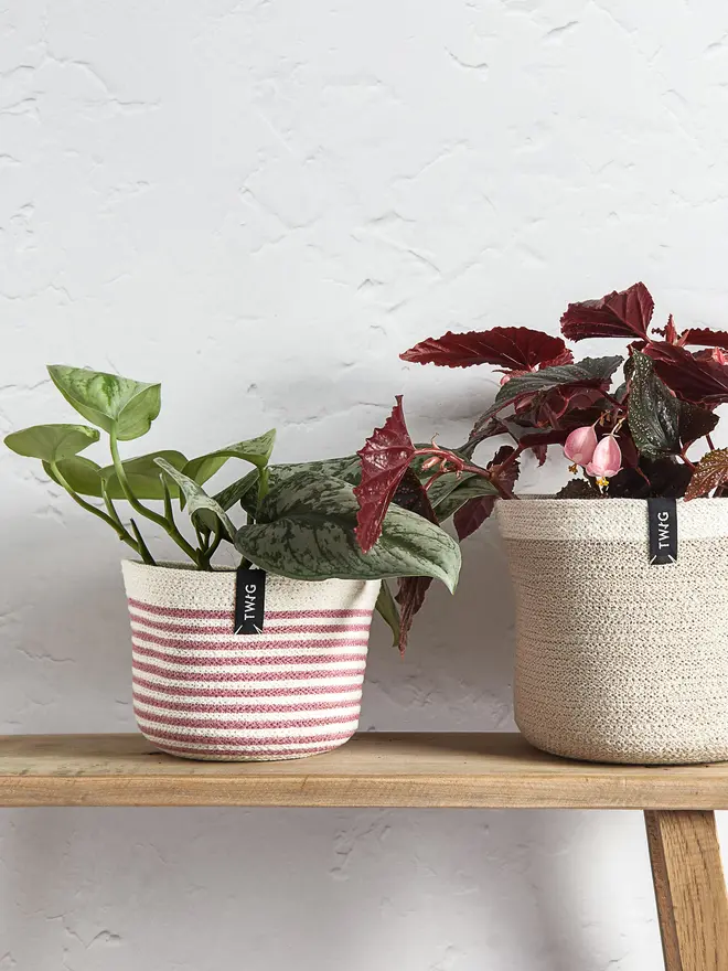 Small Striped Cotton Pot