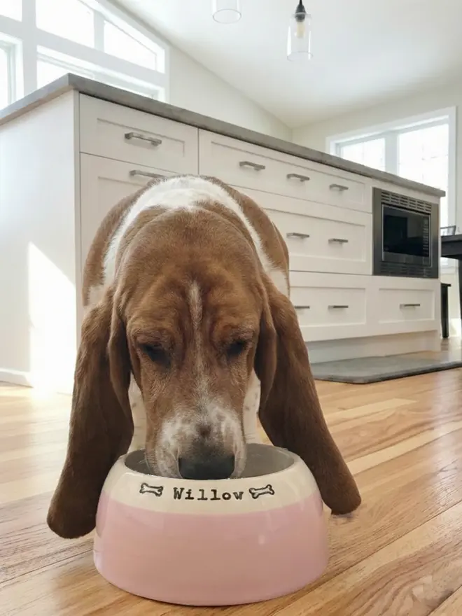 Setter_Basset Bowl in Peony