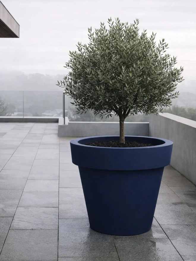 The dark blue Biggie delivers refined elegance through its deep tone and large sculptural form. Perfect for formal entrances, luxury patios and structured planting schemes, it enhances greenery while adding depth. Robust yet lightweight, it’s weather-resistant and designed for reliable year-round use.
