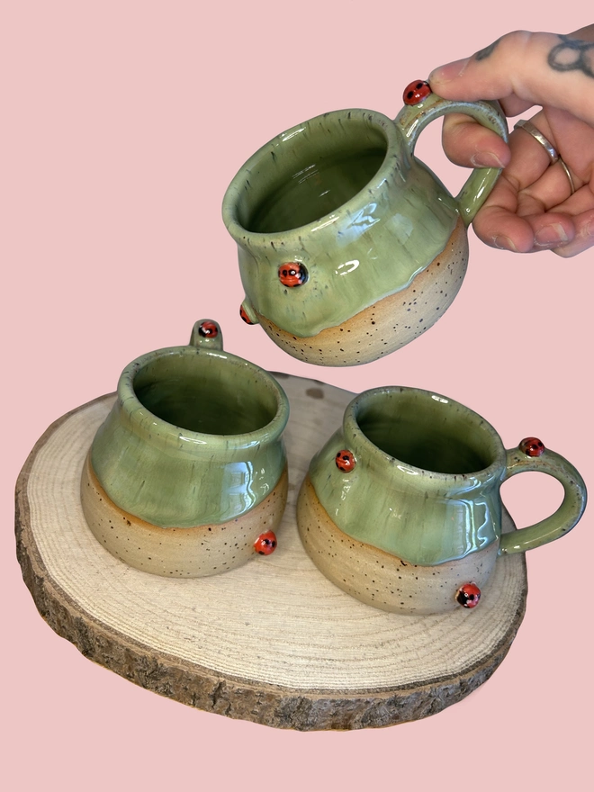 Small Ladybird Mug 
