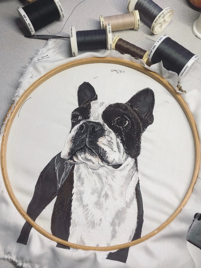 photo shows the making of an embroidered pet portrait of a French Bulldog