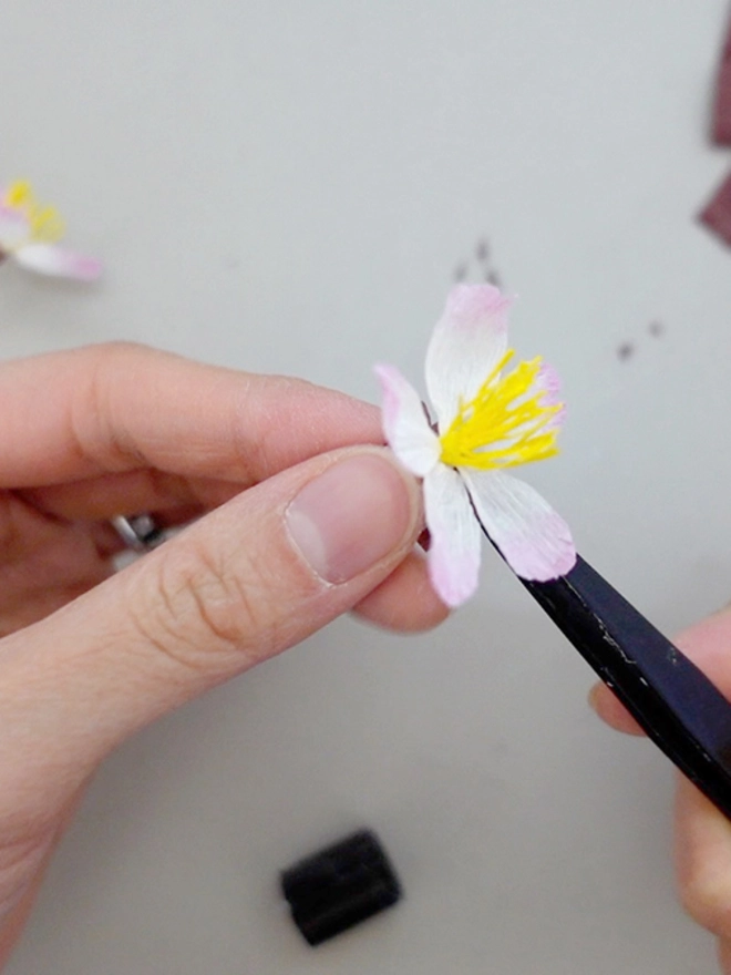 Crepe Paper Cherry Blossom - Sakura
