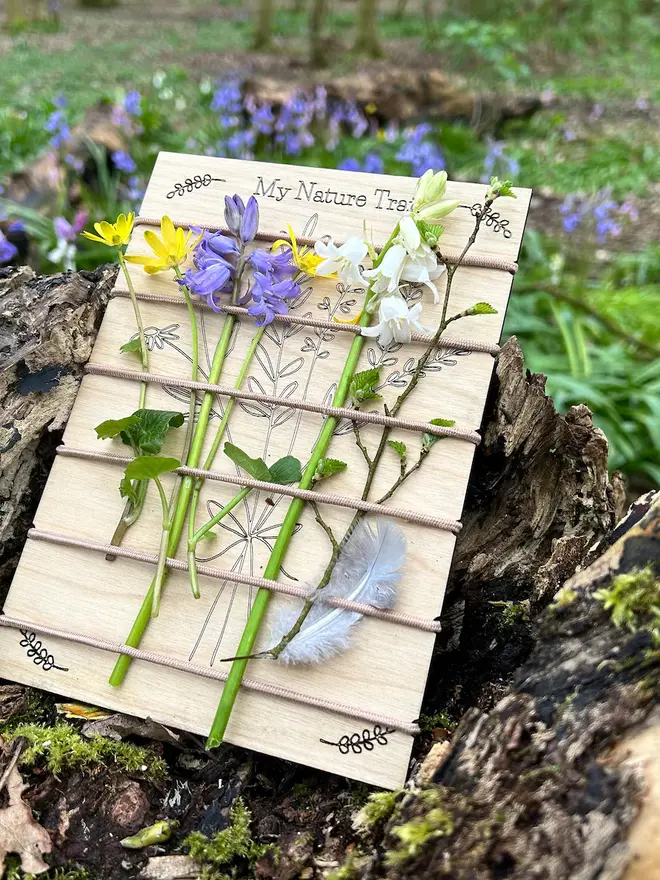 Birch wood nature trail weaving board decorated with artificial wildflowers and leaves, held in place by cream-colored cord, displayed outdoors against mulch and stones.