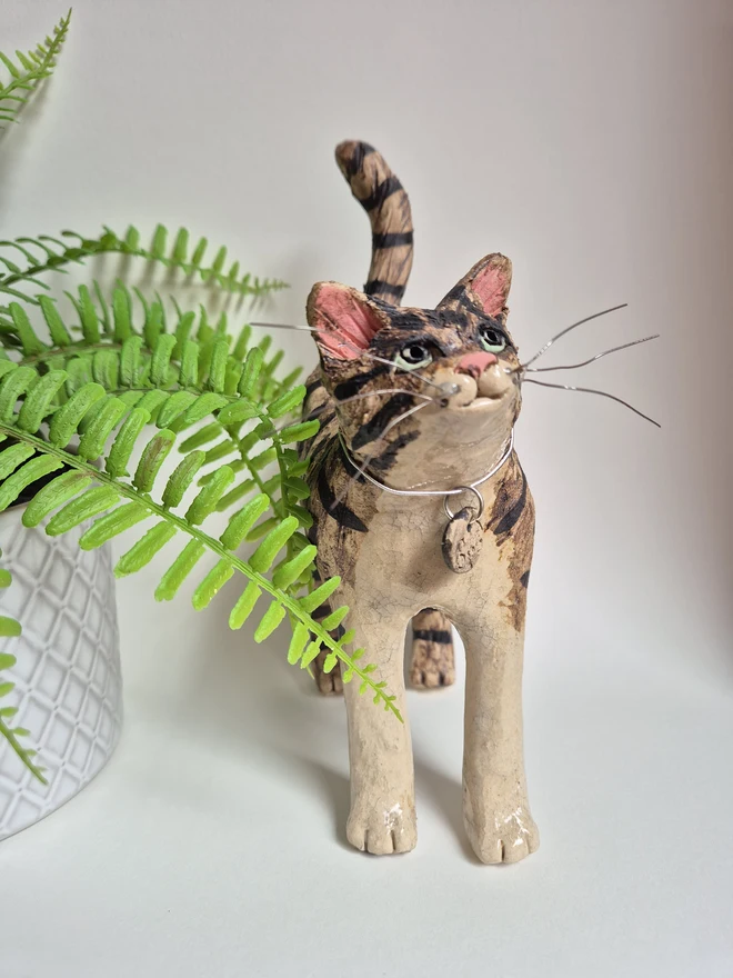 Popsy Brown and cream tabby cat