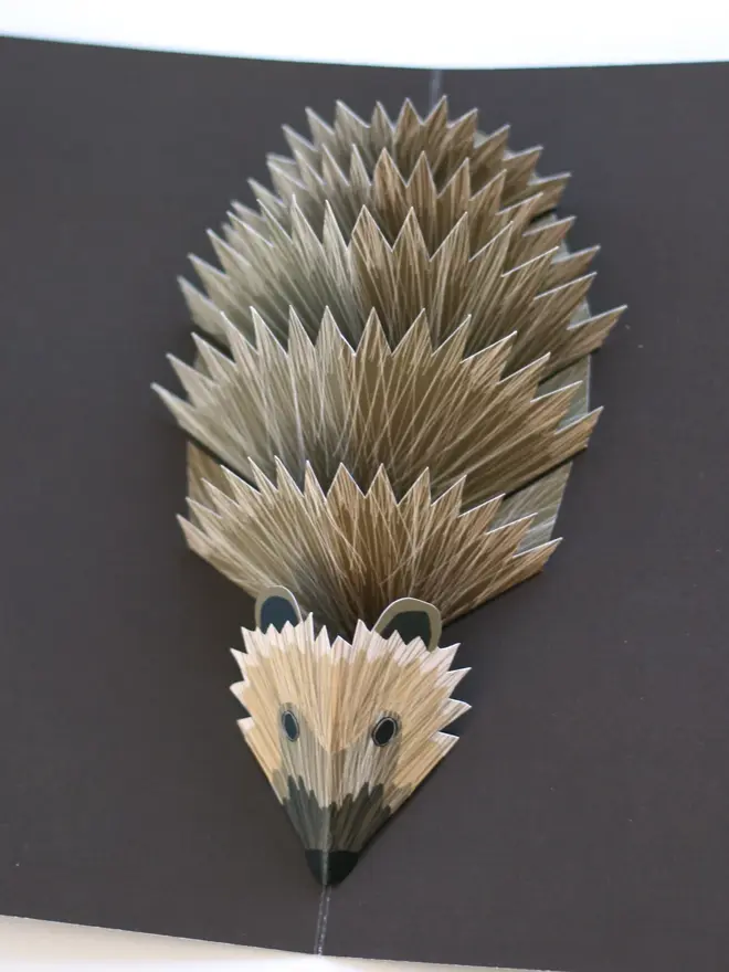 3d hedgehog pop up card