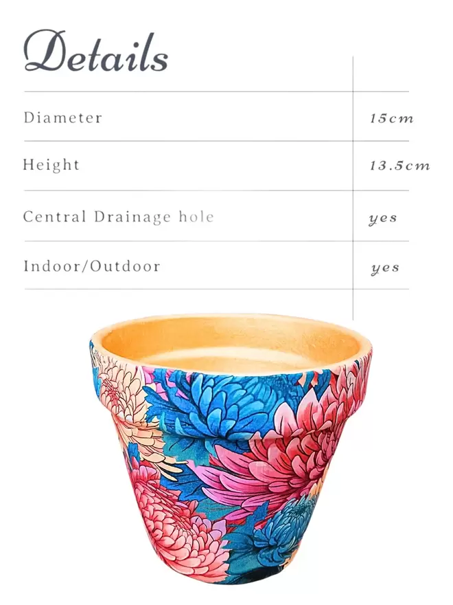 Chrysanthemum Plant Pot