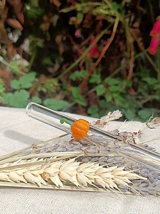 Pumpkin straw 