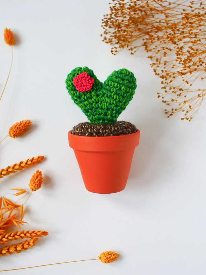 Heart shaped crochet cactus, Valentine's Day Gift