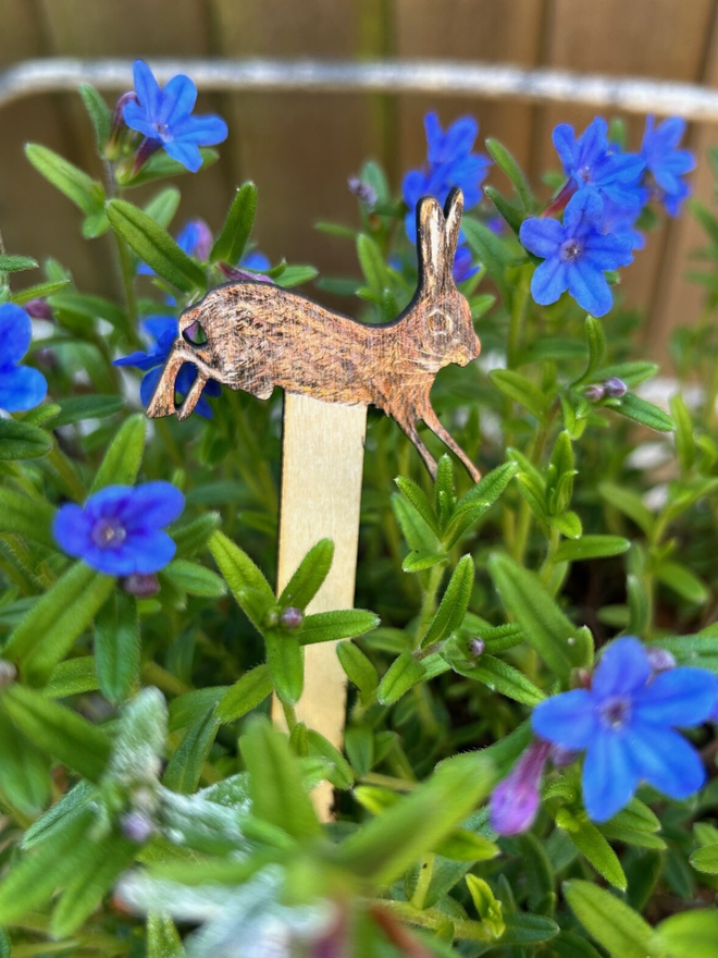 Rabbit plant decorations