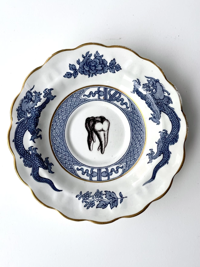Ornate vintage plate with a border in blue and white of Chinese dragons, and in the centre is a vintage illustration of a molar tooth