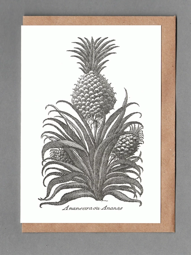 Black pineapple and plants on white greetings card with brown envelope behind on a grey background.