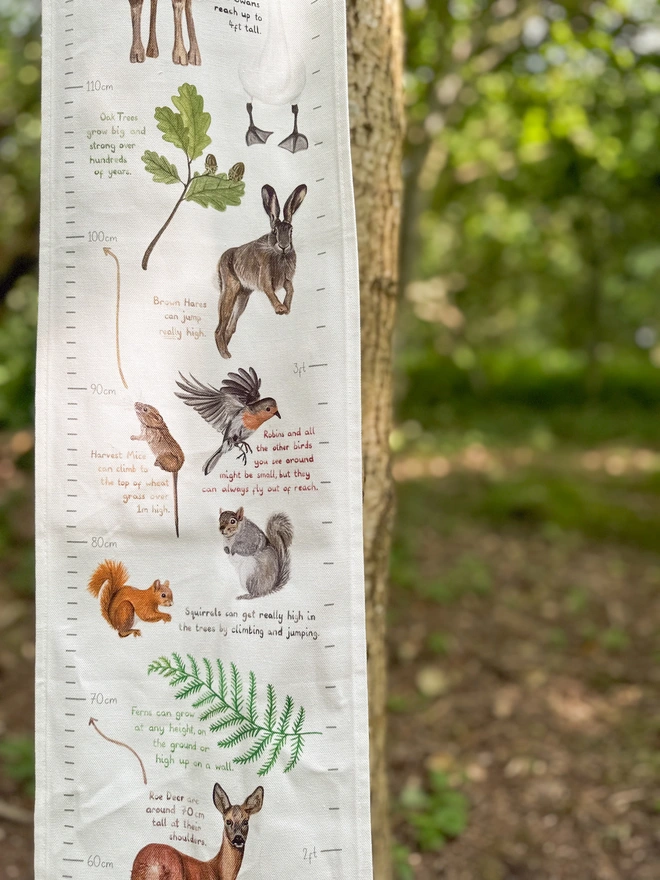 close up of the middle of the fabric height chart featuring a hare, a grey and red squirrel, a mouse and a robin