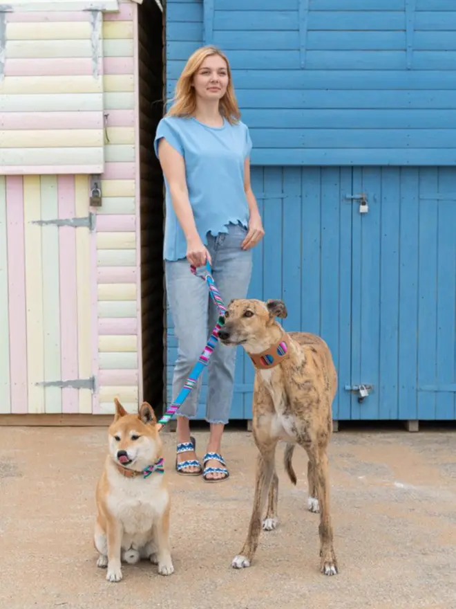 Blue hands free dog lead used to walk 2 dogs