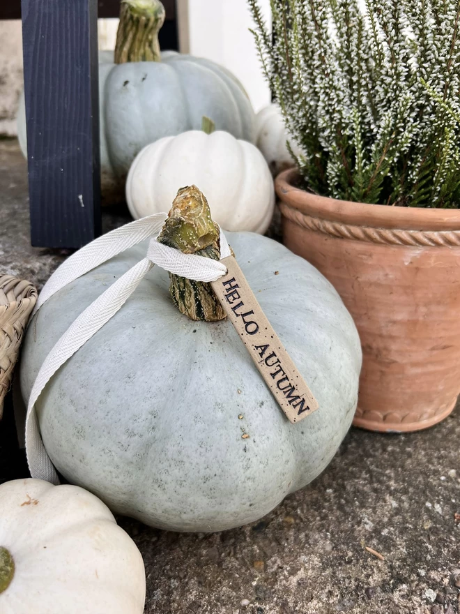 hello autumn ceramic tag tied to a green pumpkin