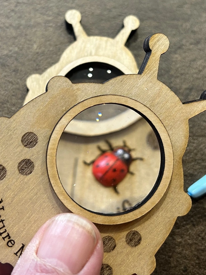 Close up of ladybird magnifyer