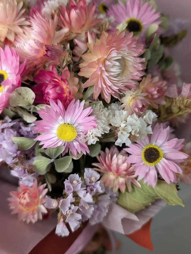 Close up soft pinks flowers 