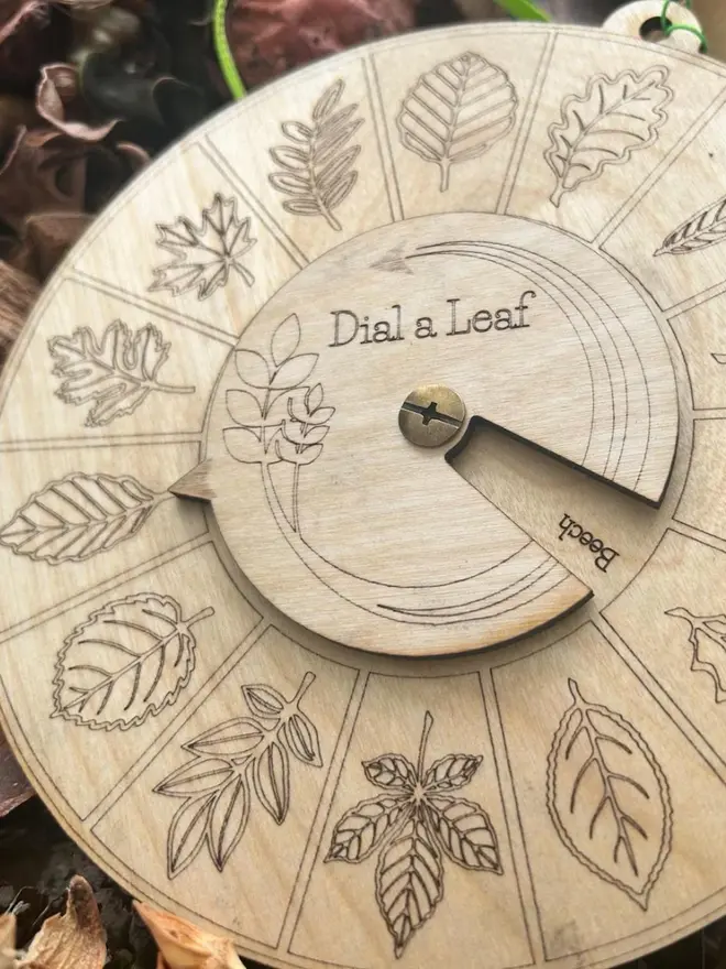 Round wooden leaf identification dial engraved with detailed leaf illustrations and rotating pointer, designed as a hands-on nature learning tool for children.
