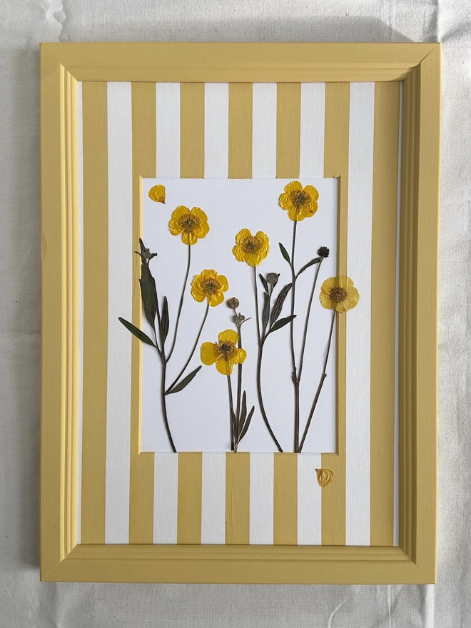 pressed buttercup flowers on a hand painted stripe frame and painted frame