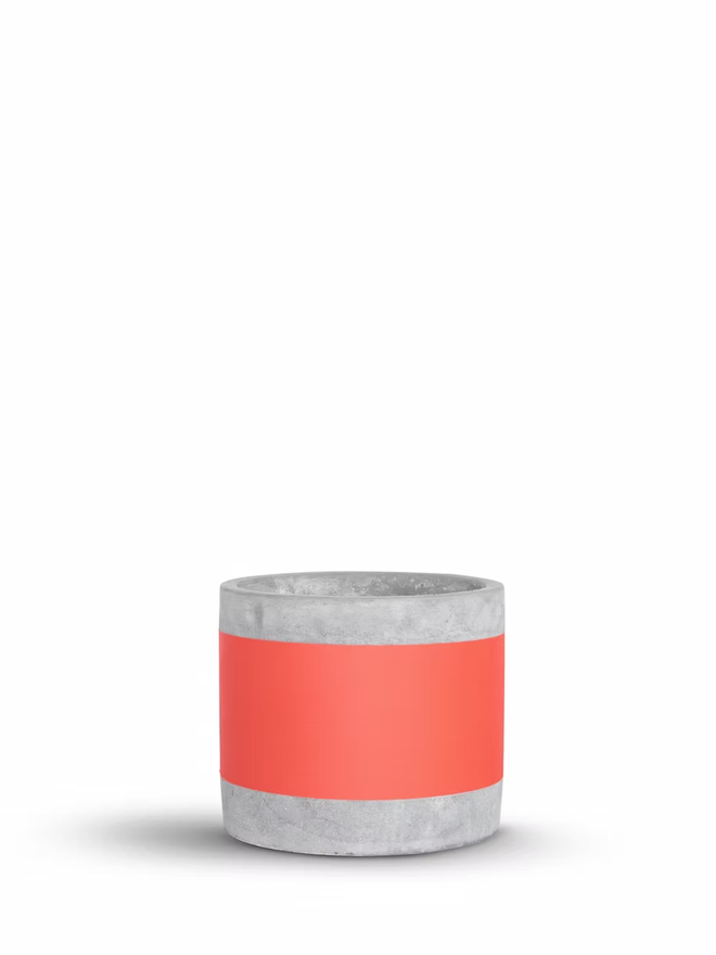 coloured middle concrete plant pot. a grey concrete plant pot with a bright coral stripe around the middle.