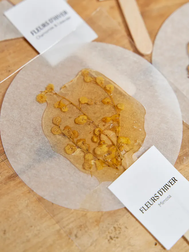 Fleurs-d-hiver-mimosa-herbal infused tea 