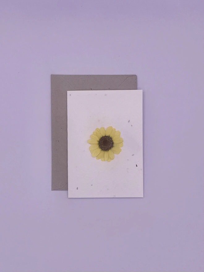 Real Pressed Flower Plantable Notecard, Yellow Daisy