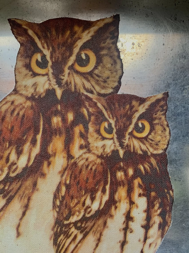 Close up of owls printed on fabric.