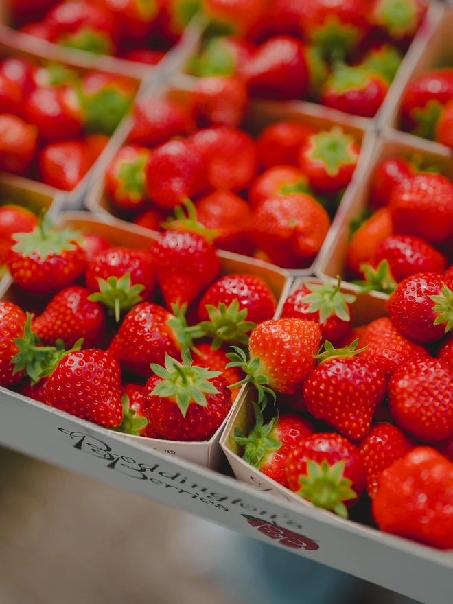 Class 1 Strawberries Boddington Berries 