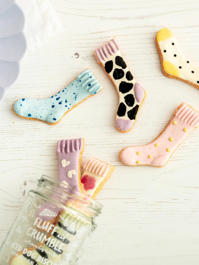 colourful sock iced dog biscuits with jar