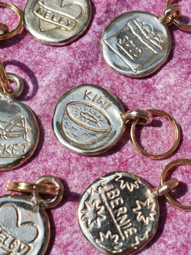 an assortment of round pet tags, one with 'KIWI' and a kiwi doodle, one with 'SPUD' inside a sack of spuds, one with 'BERNIE' underlined and surrounded by stars.