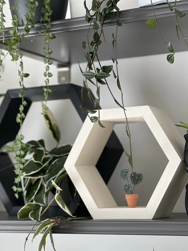 A miniature replica Anthurium Clarinervium paper plant ornament in a terracotta pot sat inside a white hexagonal shelf next to another black hexagonal shelf that hold a real plant, all sat on a grey larger shelf with other real plants in the background