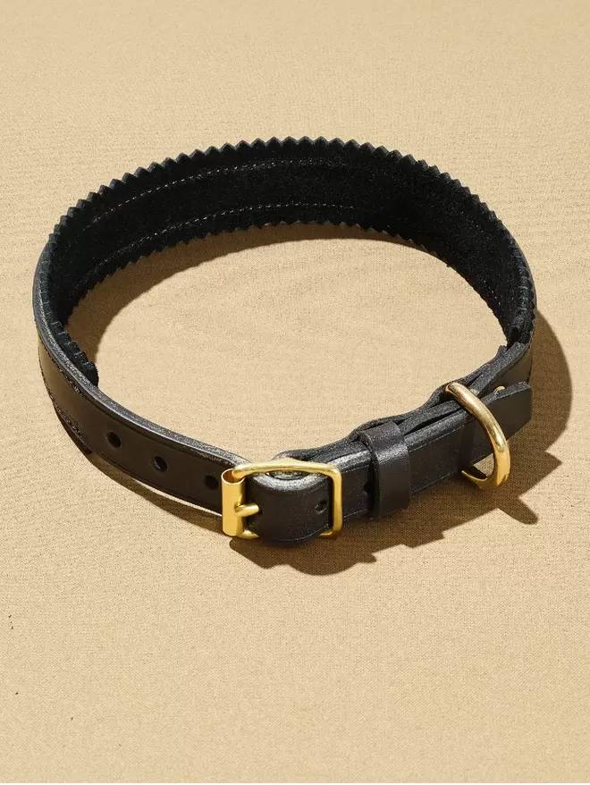 Black leather Harleywood dog collar with suede trim and brass hardware.