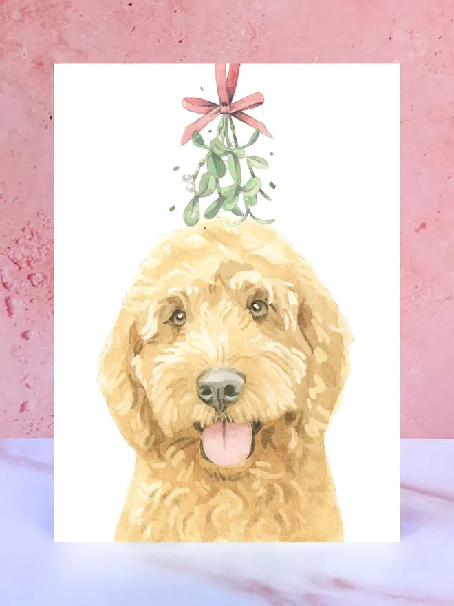 golden cockapoo dog mistletoe christmas card