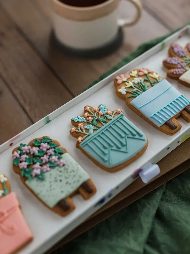 House Plant Biscuit Gift Set