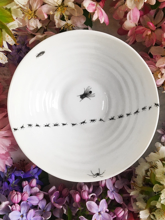 insect bowl