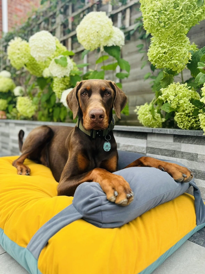 Reversible K-9 Candy Dog Bed